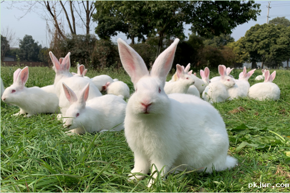 61025d3bcea52.png QQ图片20210729154711.png